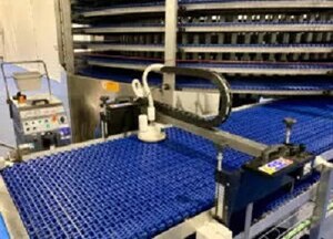 Cleaned Conveyor Belt